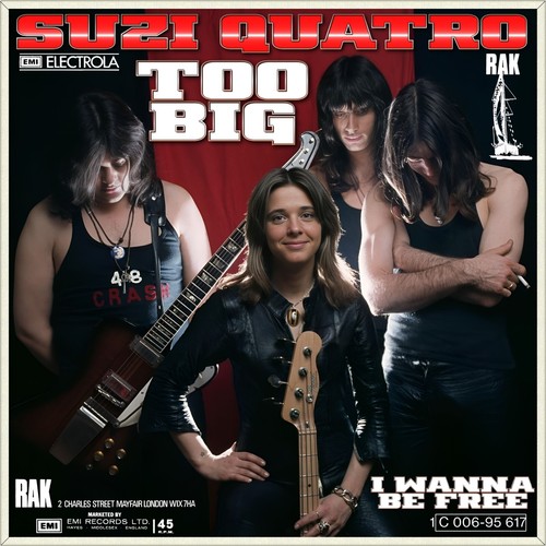 Suzi quatro too - 7",