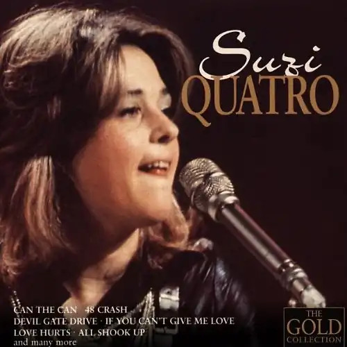Suzi quatro the gold - -,