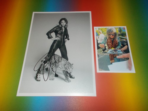 Suzi quatro rock lady - suzi,